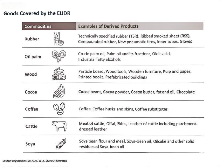EUDR Explanation Diagram