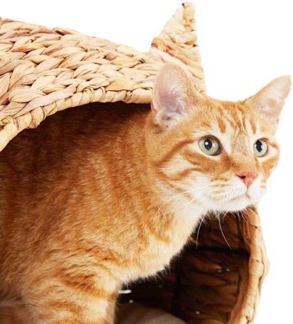 Straw Cat Head Bed With Seagrass Basket Weave Removable Washable Pillow Insert Basket Bamboo Wooden Products Manufacturer - Image 7